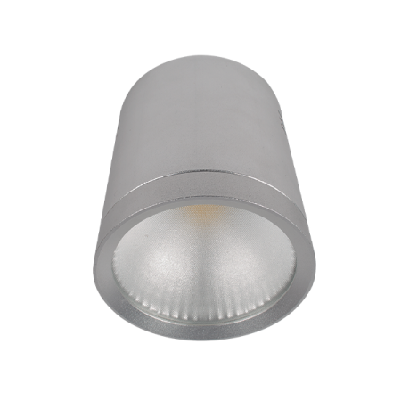 SPOT CU LED RDLCOB 10W 230W 2700K 60° ARGINTIU